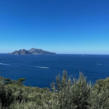 Apartment Don Luigino - Capri View By Interhome Масса-Лубренсе Екстер'єр фото